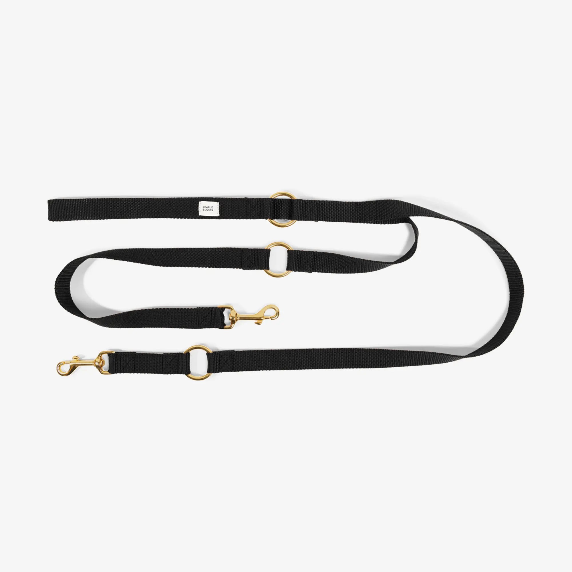 Stunning Lightweight Running Leash image