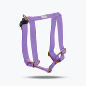 Harness with name Royal Blue