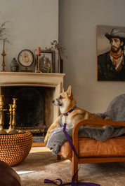 Leash with name Royal Blue