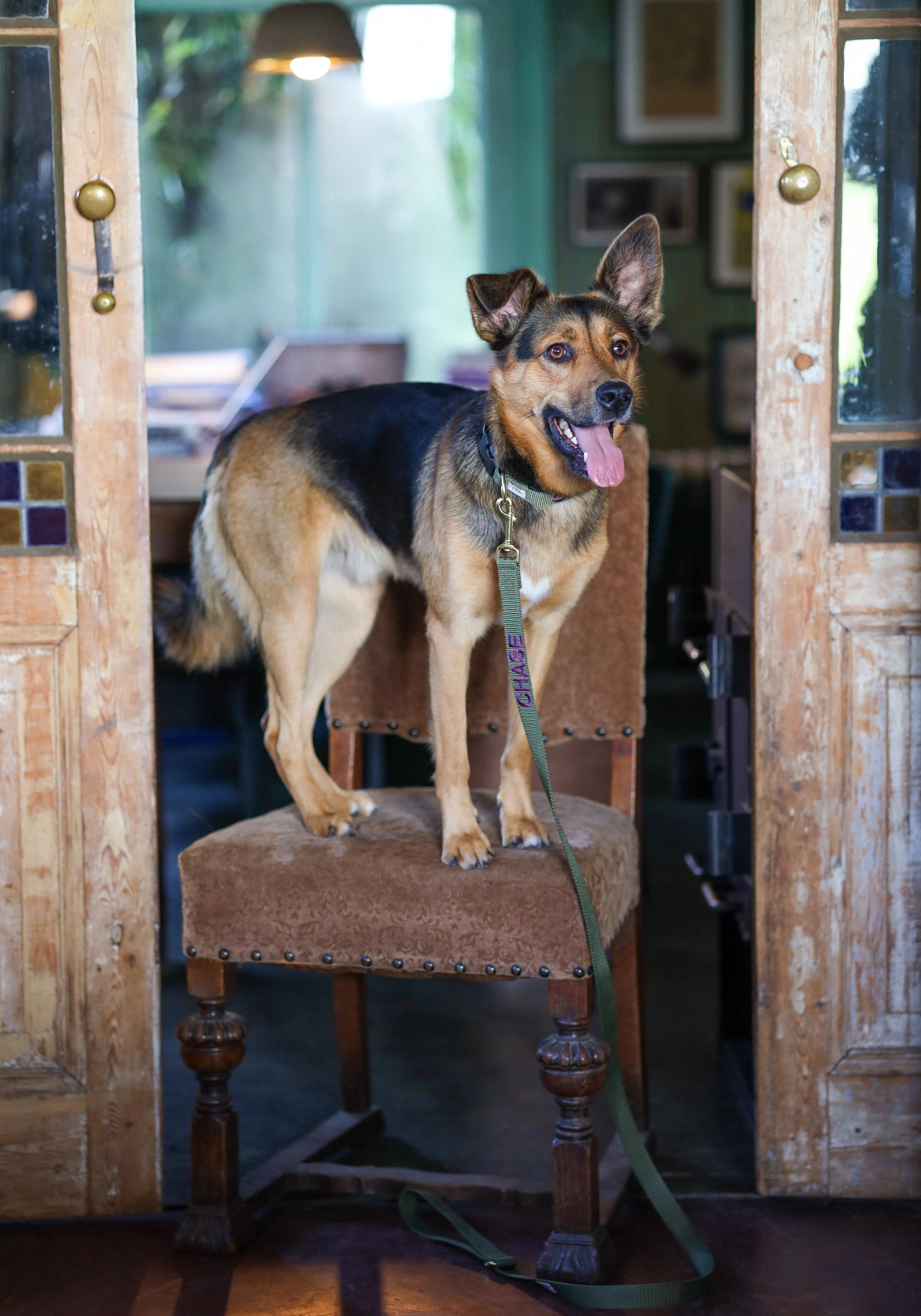 Halsband met Naam Olive Charliejoness