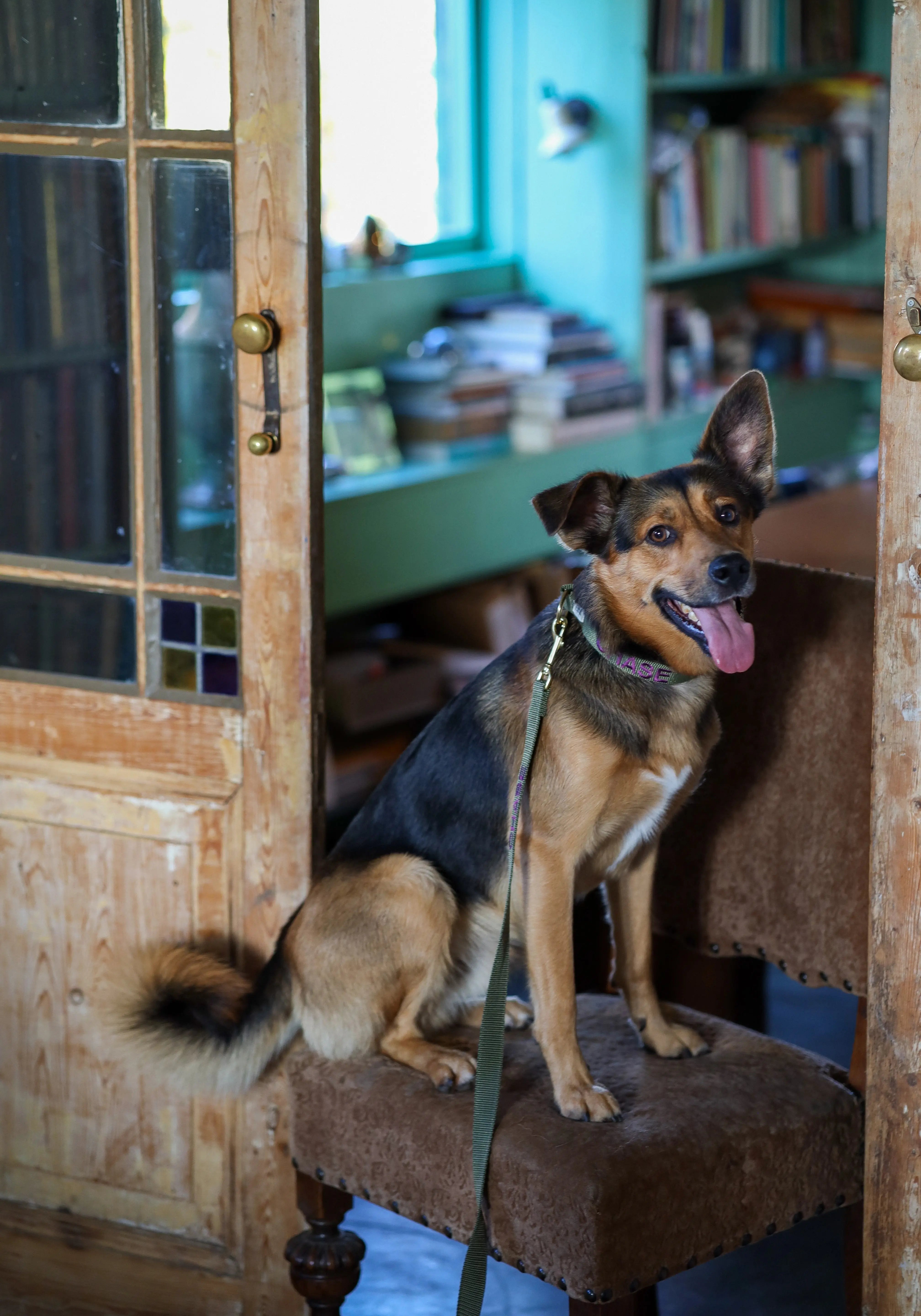 Halsband met Naam Olive Charliejoness