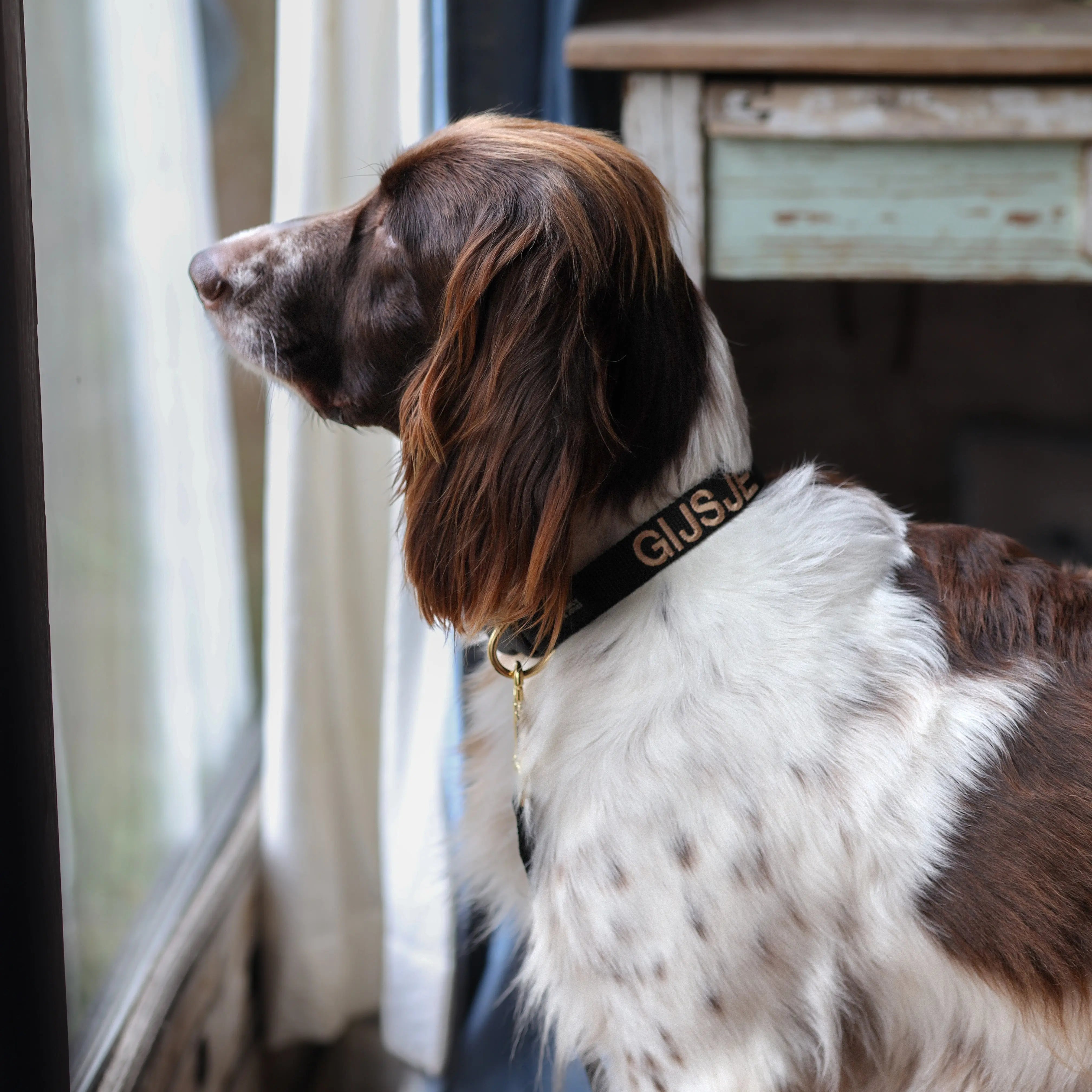 Halsband met naam Black Charliejoness