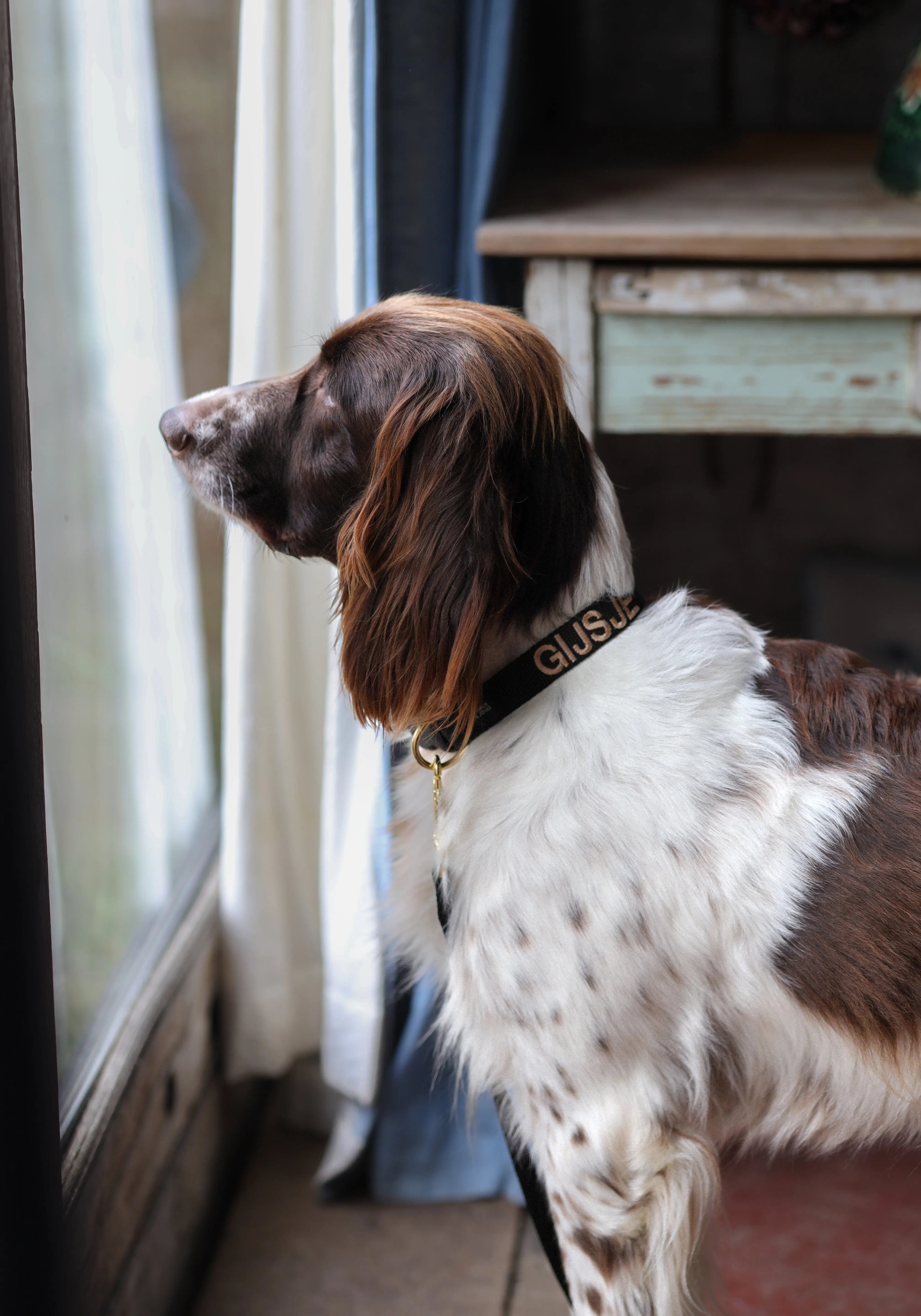 Halsband met naam Black Charliejoness