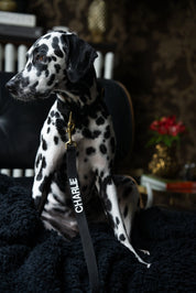 Halsband met naam Black Charliejoness