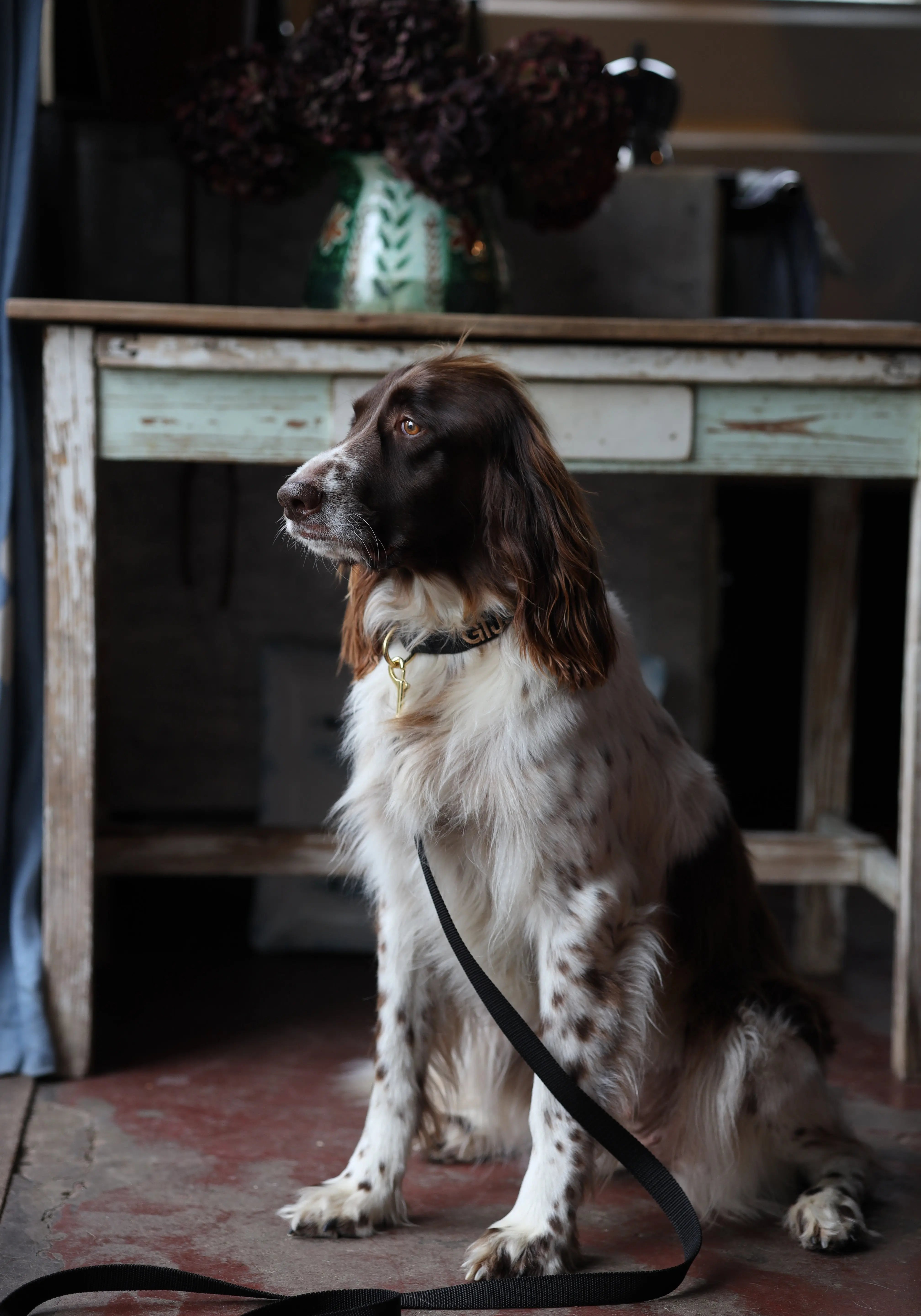 Halsband met naam Black Charliejoness