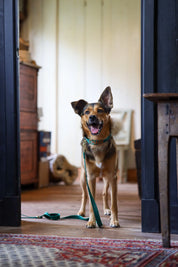 Halsband met naam Hunting Green Charliejoness