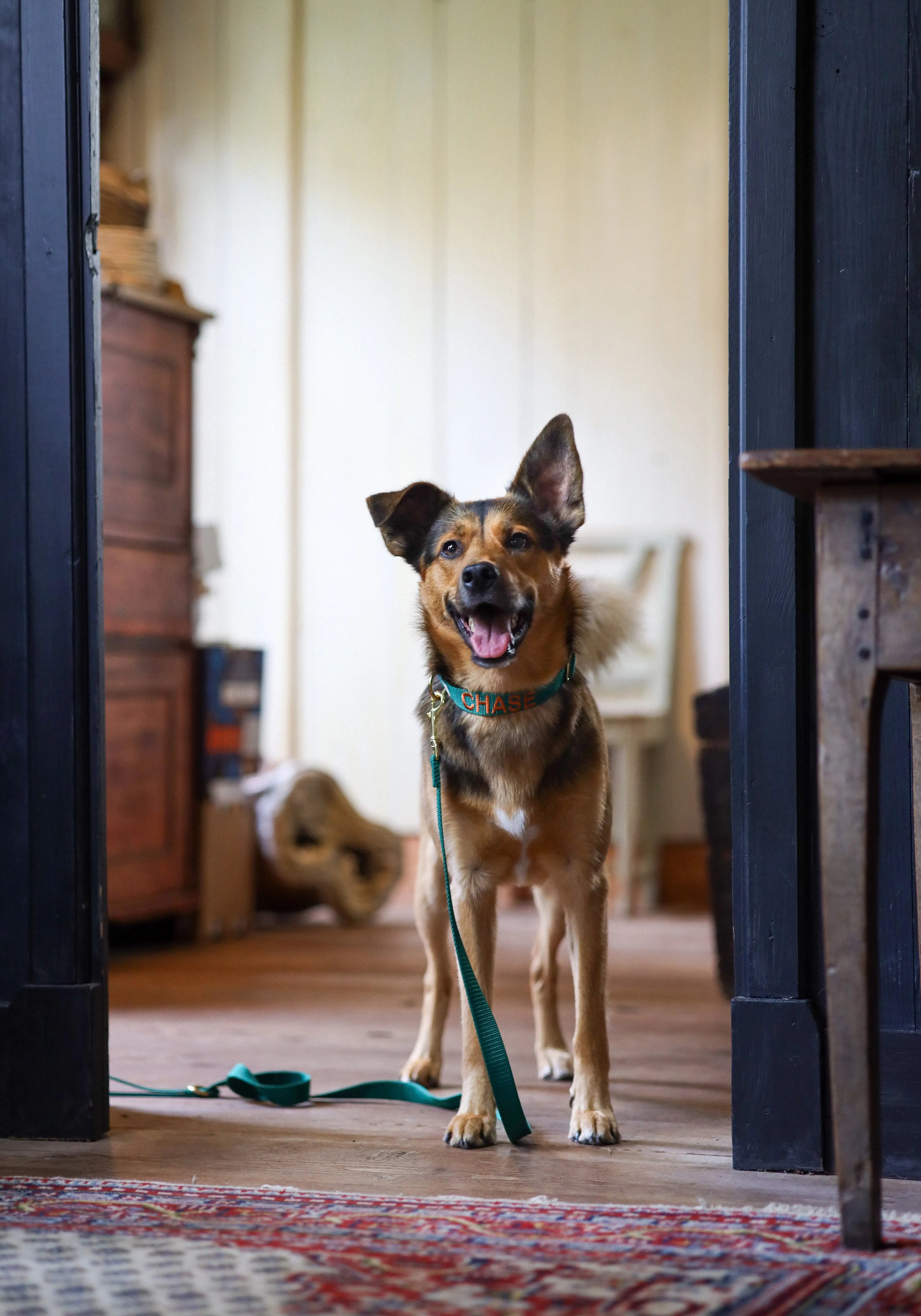 Halsband met naam Hunting Green Charliejoness