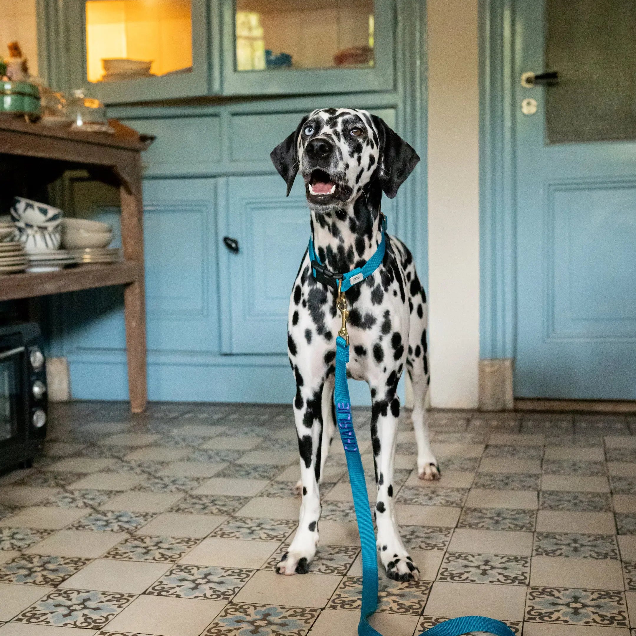 Halsband met naam Teal Charliejoness