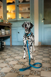 Halsband met naam Teal Charliejoness