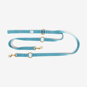 City Leash with name Royal Blue