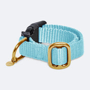 Puppy collar with name Royal Blue