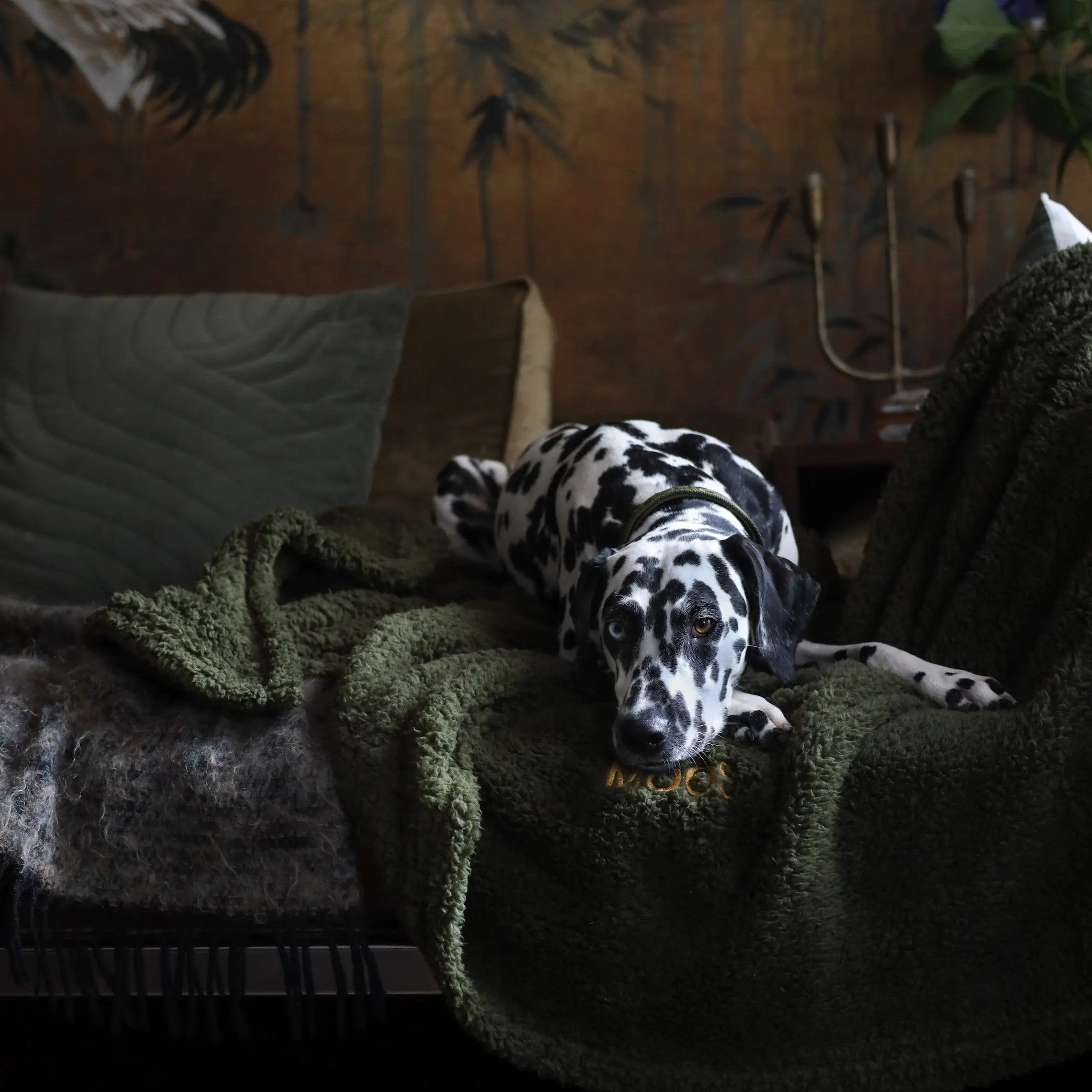 The Teddy Blanket Moss Charliejones