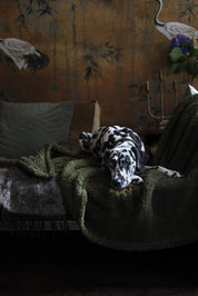 The Teddy Blanket Moss Charliejones