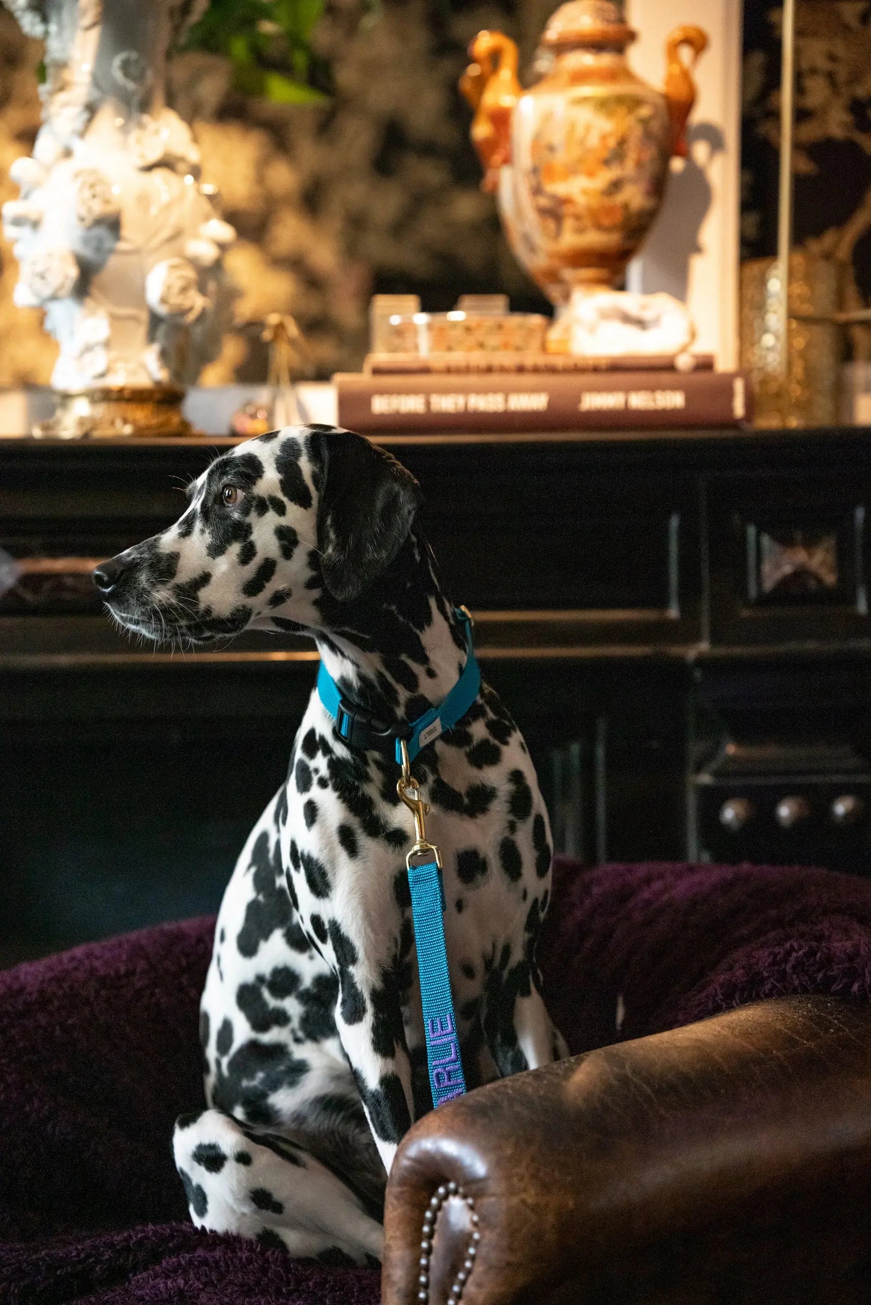 The Teddy Blanket Paars Charliejones