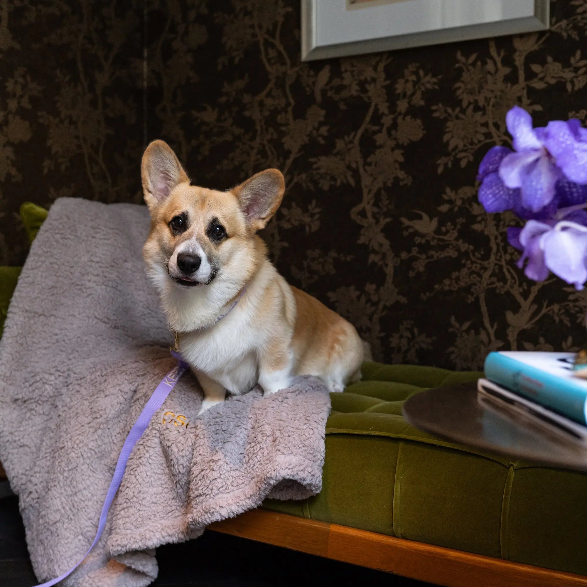 The Teddy Blanket Taupe Charliejones