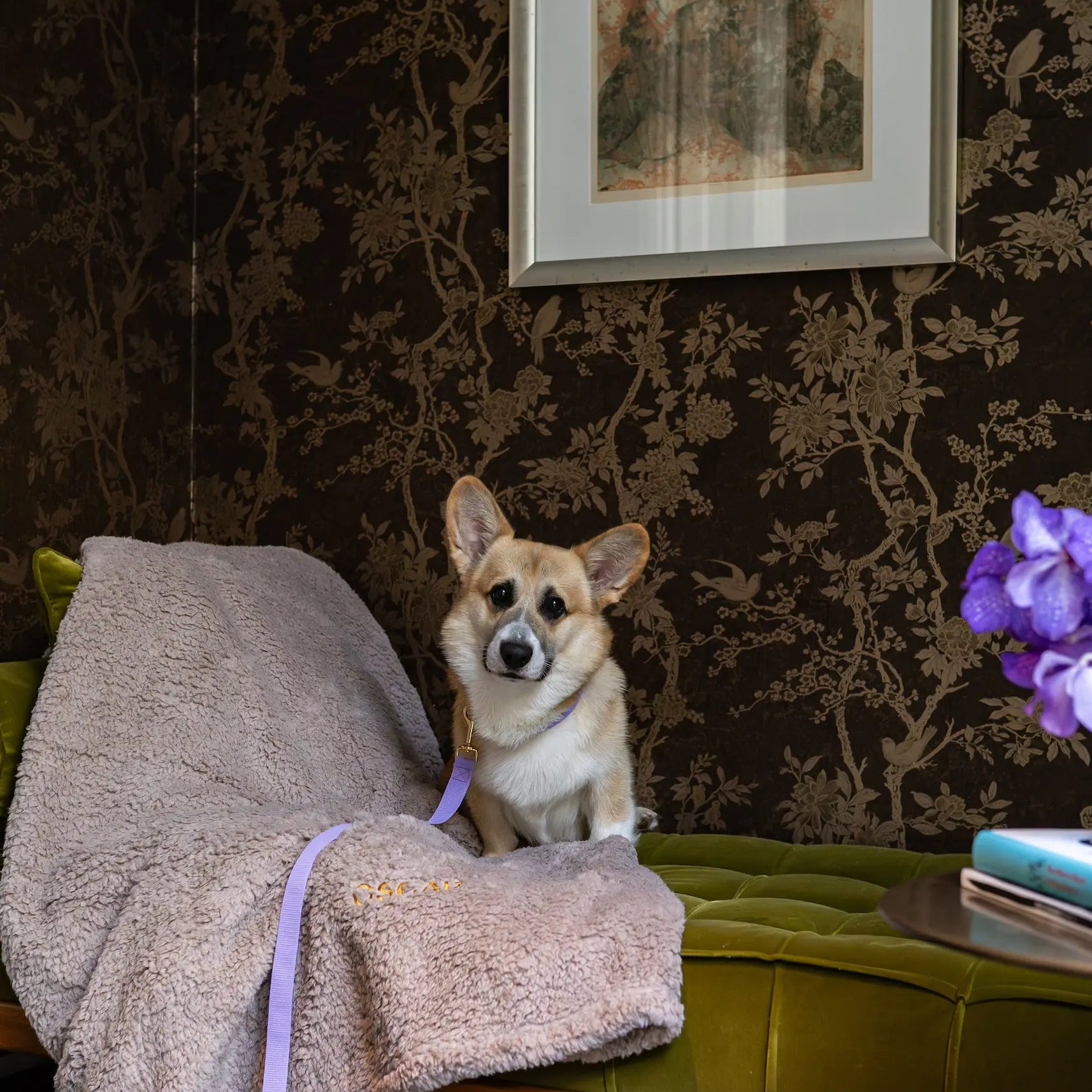 The Teddy Blanket Taupe Charliejones