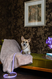 The Teddy Blanket Taupe Charliejones