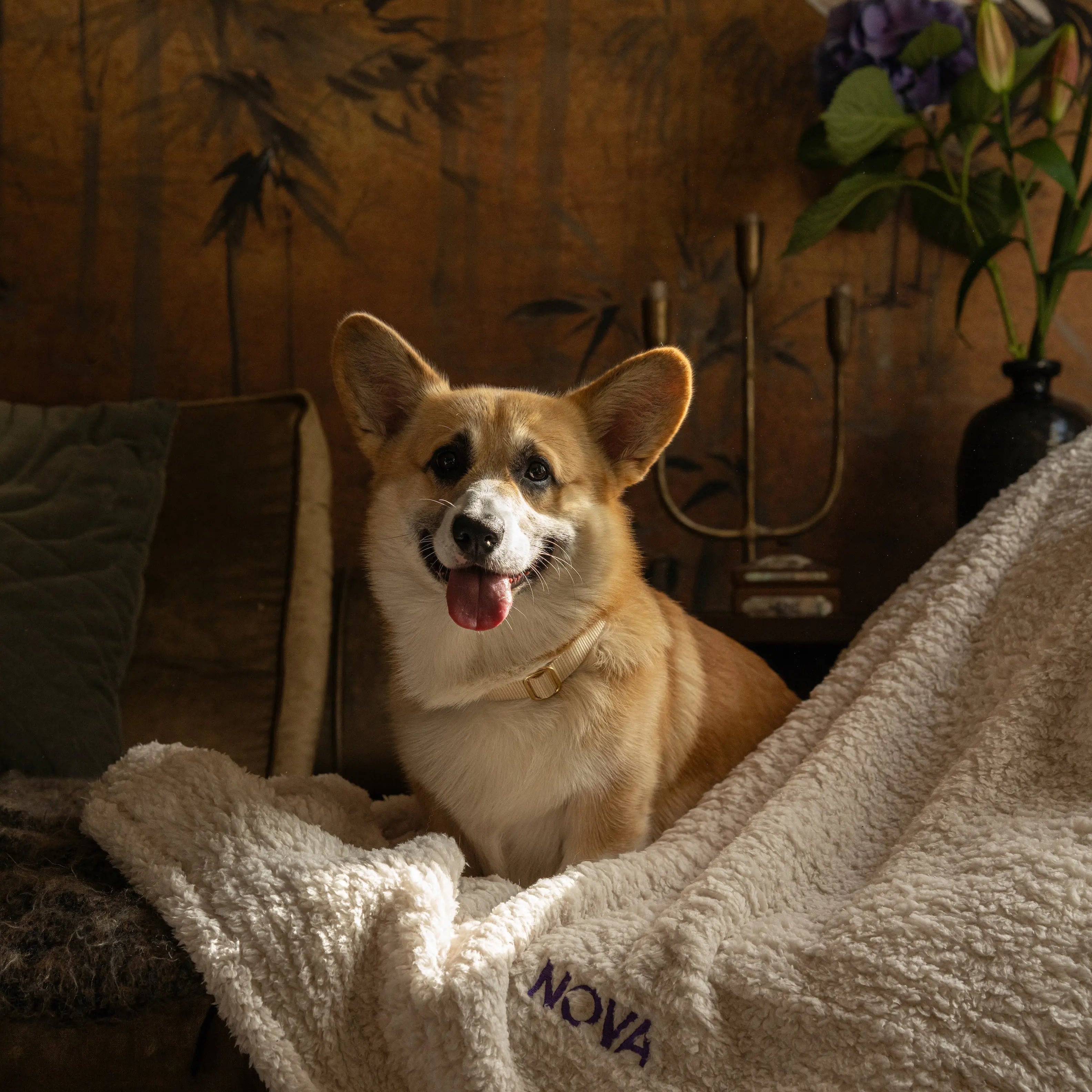 The Teddy Blanket White Charliejones