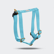 Harness with name Royal Blue