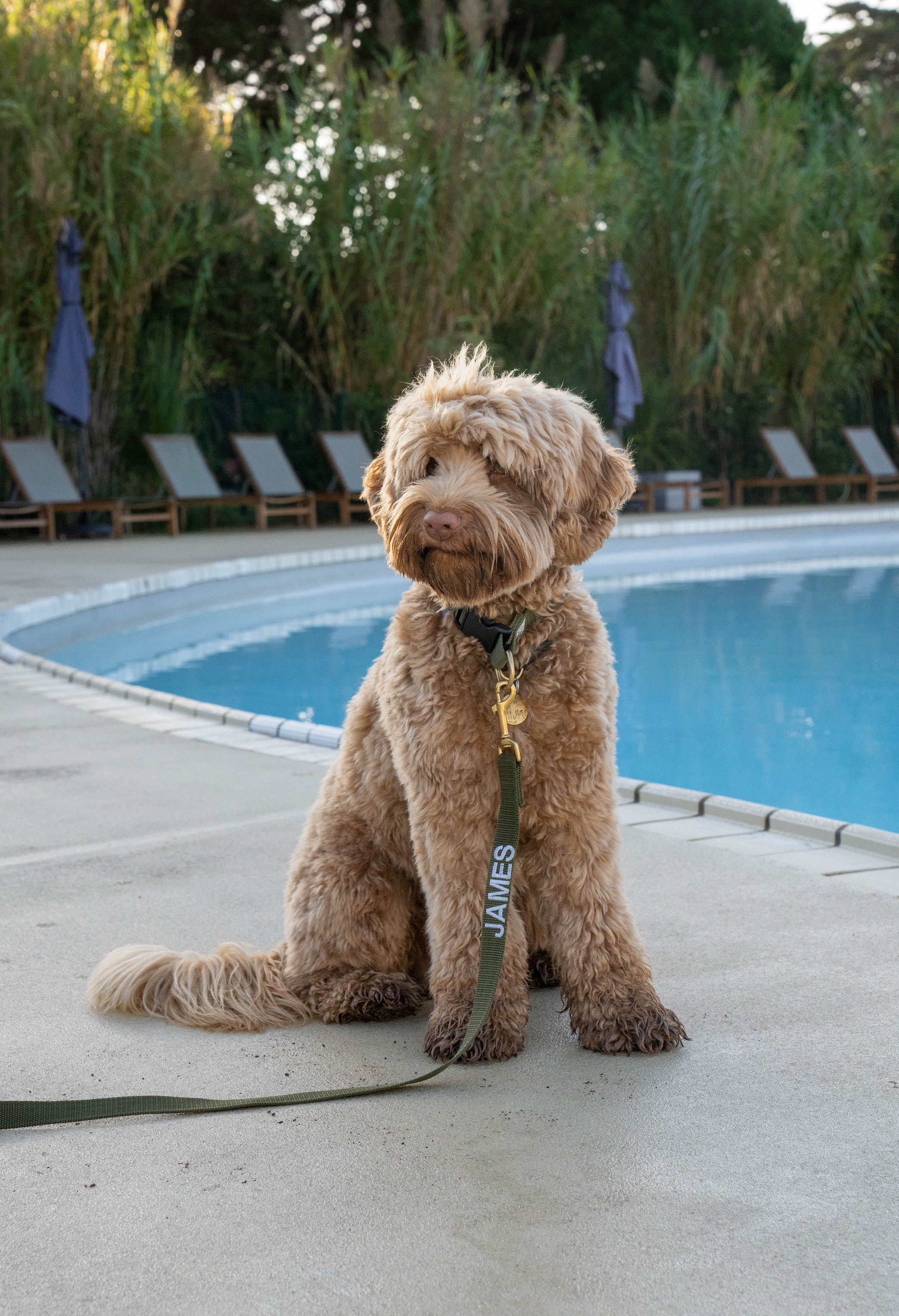 Halsband met Naam Burgundy Charliejoness