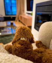 Halsband met naam Brown Charliejoness