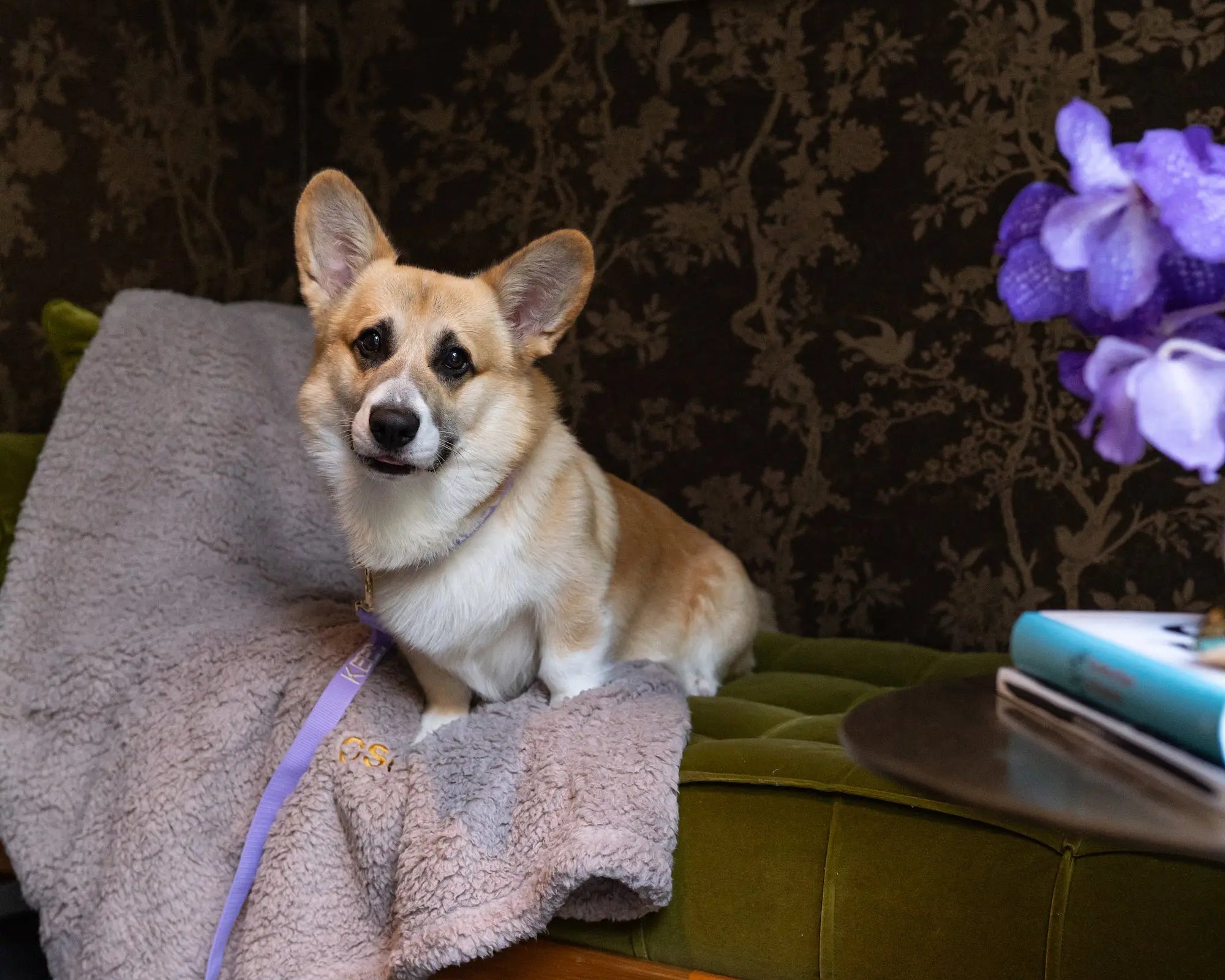Warm de winter in met onze nieuwe Teddy blankets