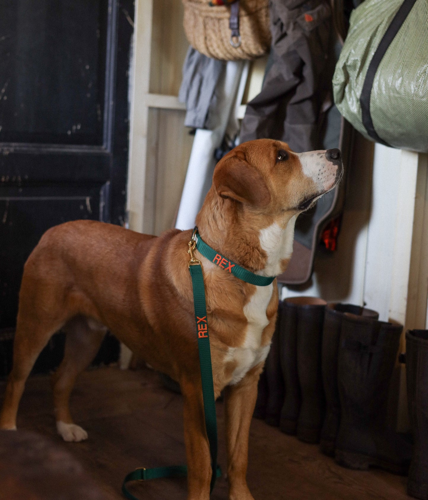 Collier avec nom Hunting Green