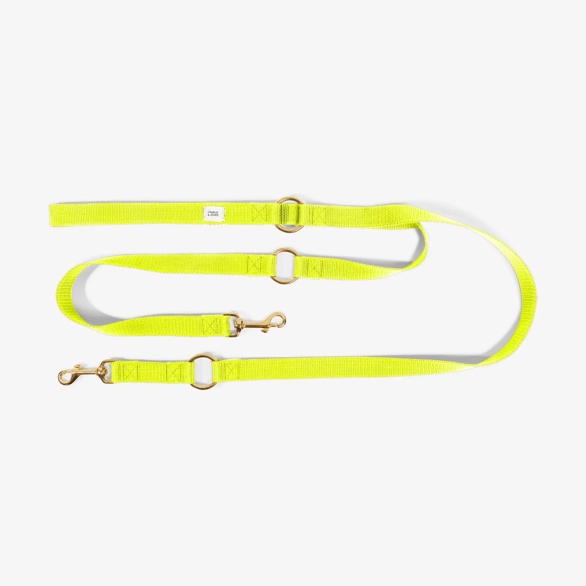 City Leash met naam Citrus Charliejoness