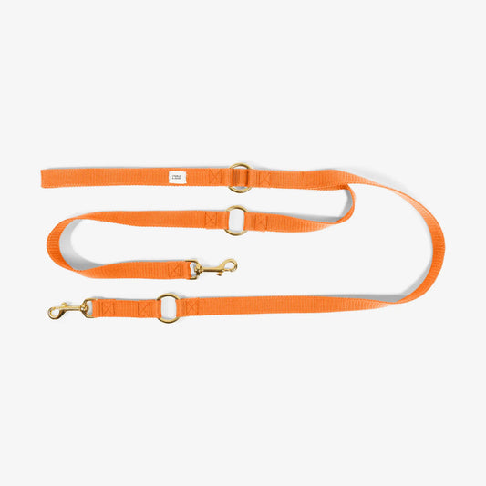 City Leash met naam Oranje Charliejoness