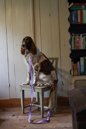 City Leash with name Royal Blue