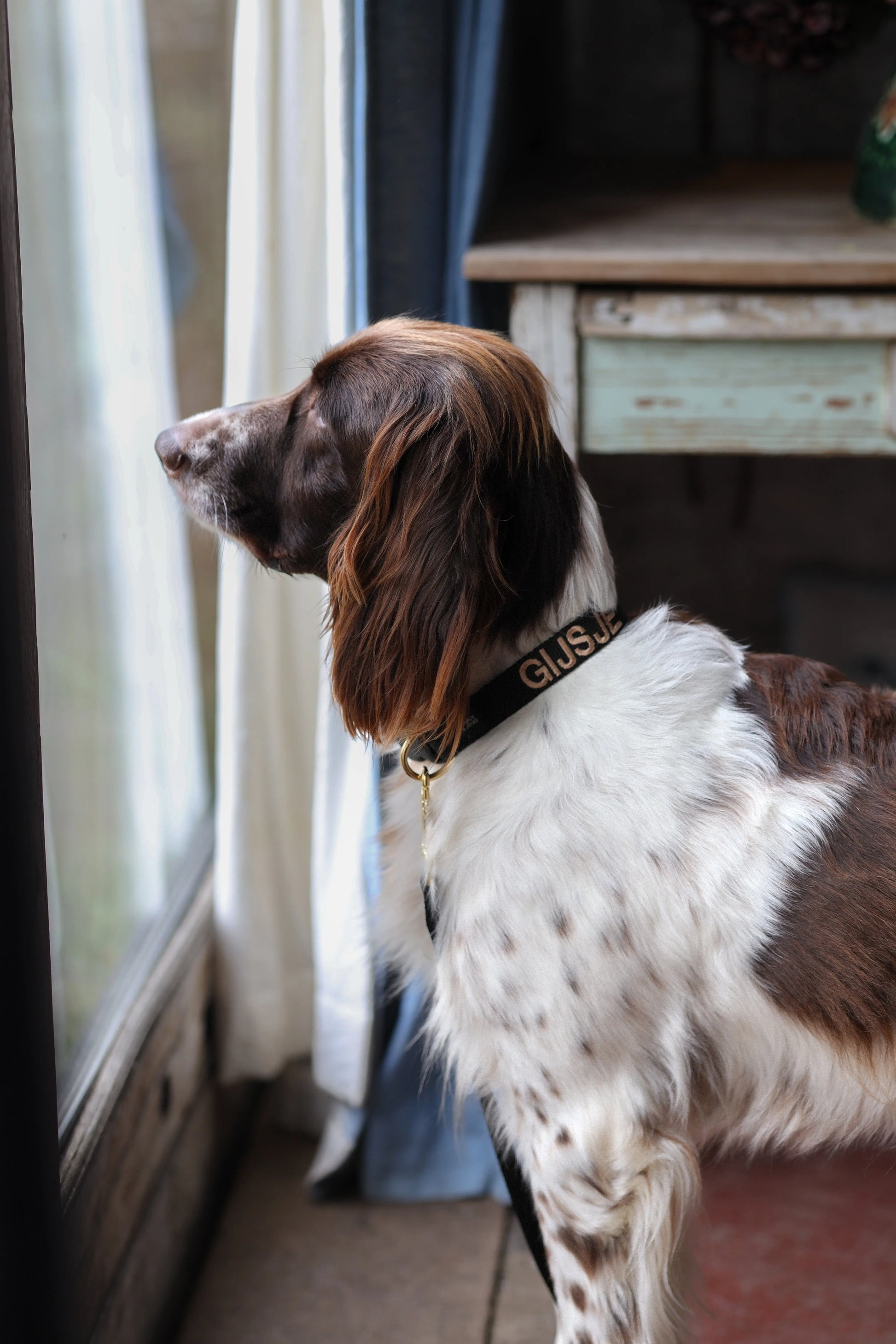 Halsband met naam Black Charliejoness