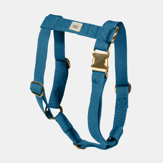Harness with name Teal