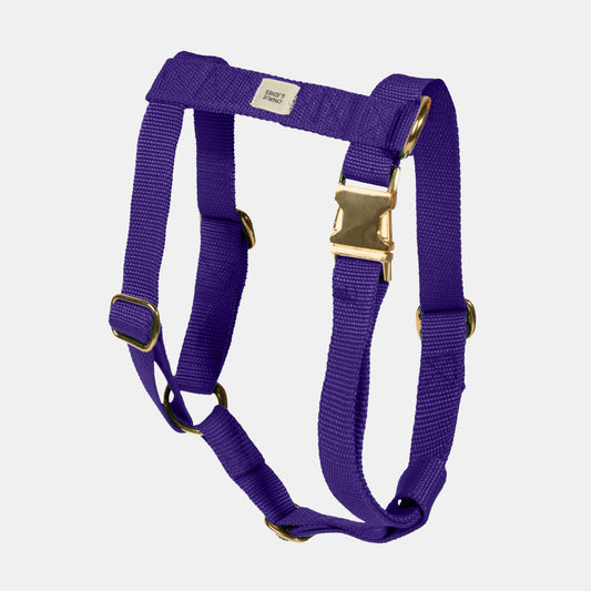 Harness with name Purple