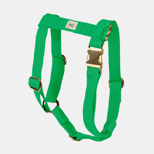 Harness with name Spring Green