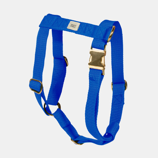 Harness with name Royal Blue