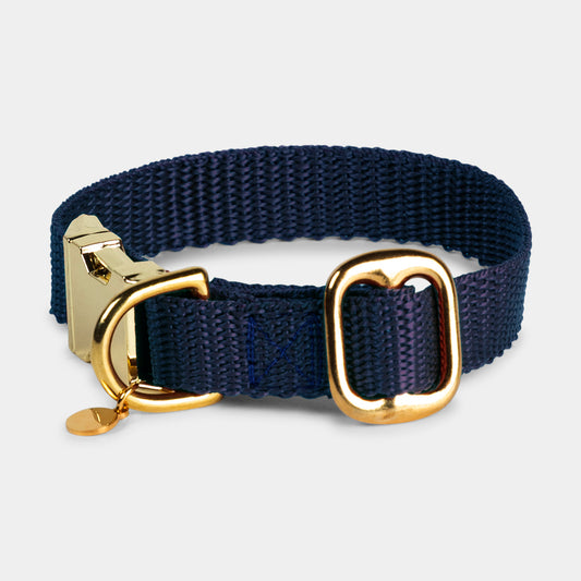 Collar para cachorro con nombre Night Blue Gold