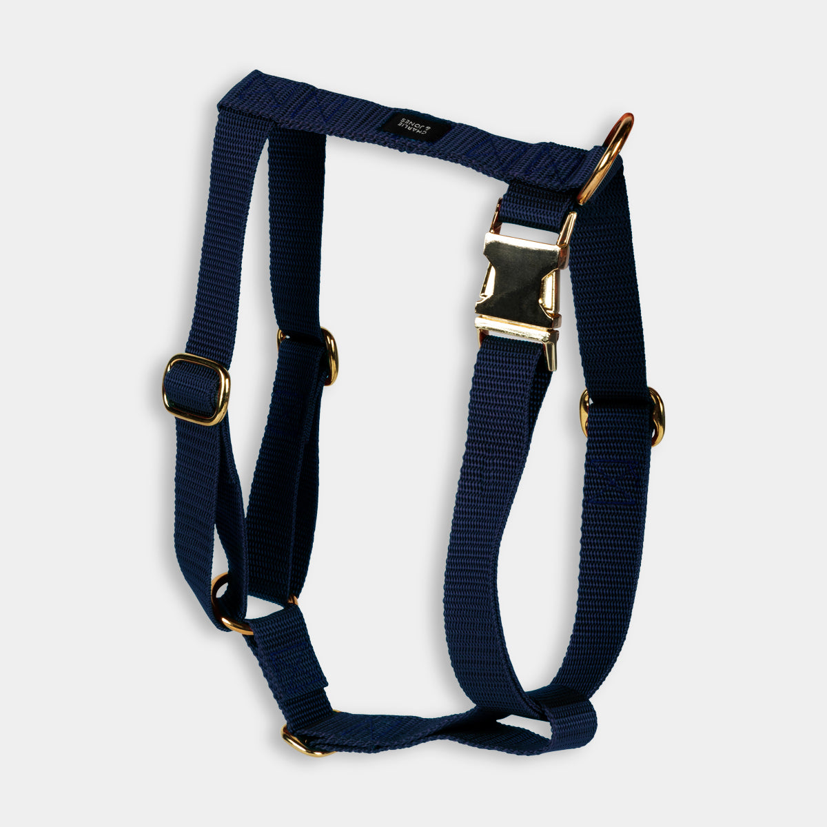 Harness with name Night Blue Gold