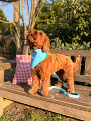 Baby blue Bandana with name