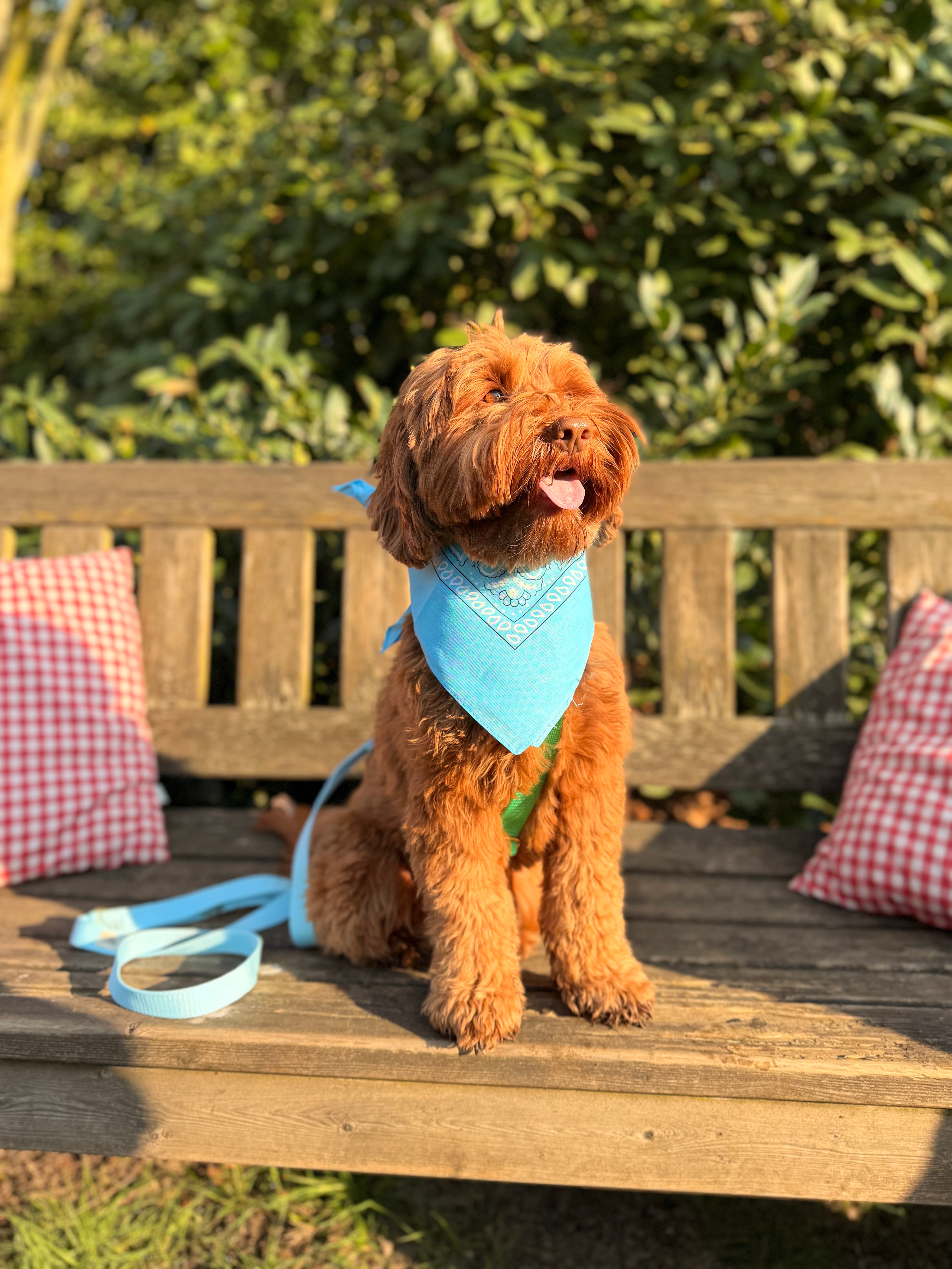 Baby blue Bandana with name