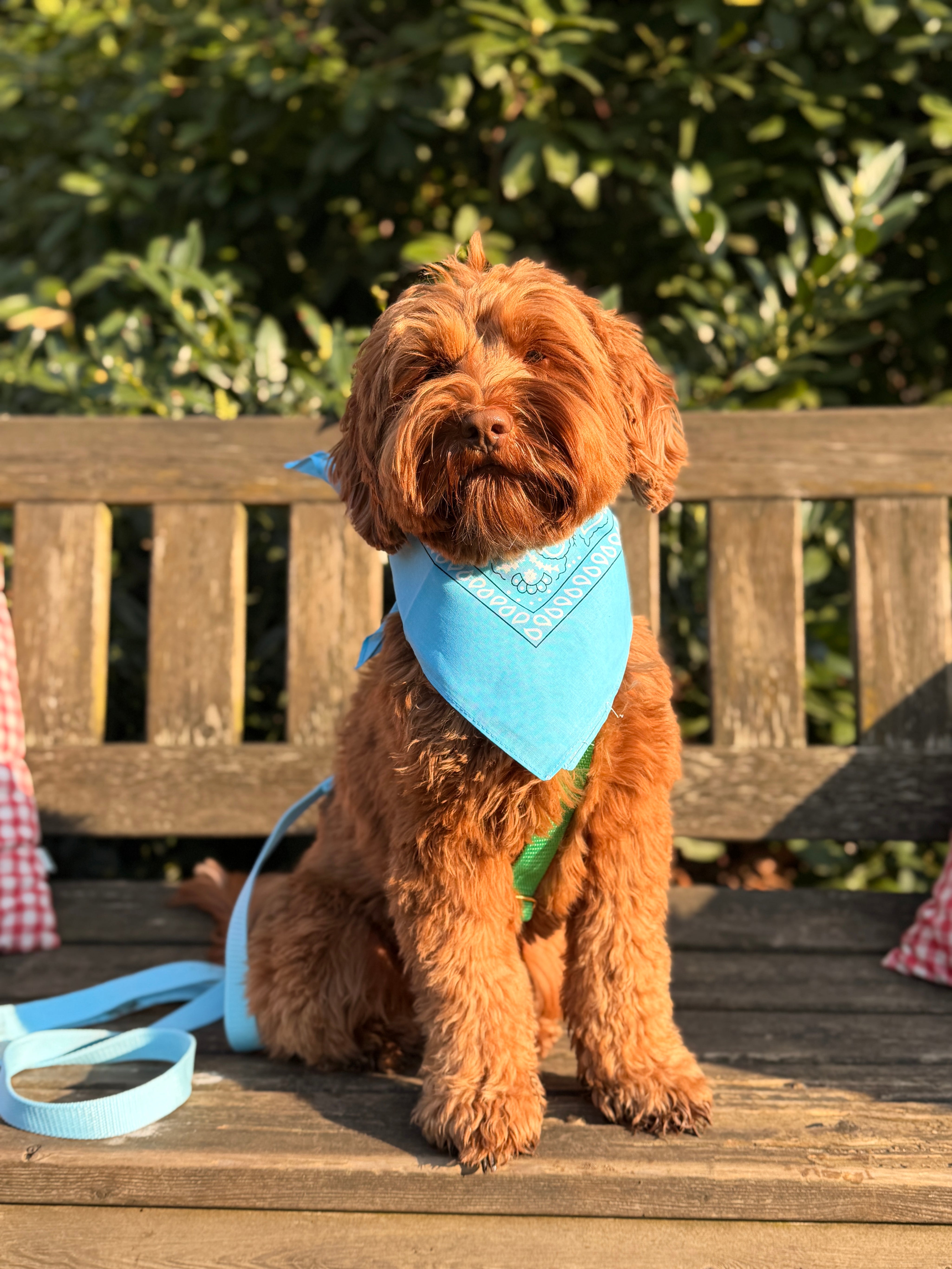 Baby blue Bandana with name