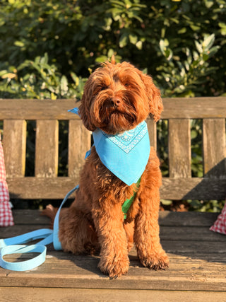 Baby blue Bandana with name