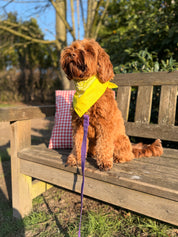 Lemon Bandana with name