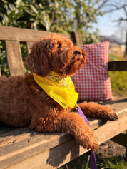 Lemon Bandana with name