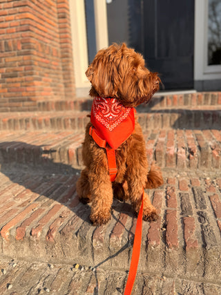 Bandana bleu bébé avec prénom