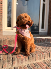Blush Bandana with name