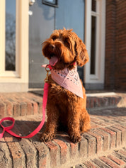 Blush Bandana with name