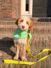 Pistachio Bandana with name