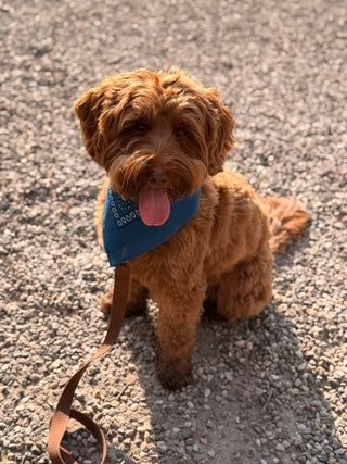 Indigo Bandana mit Namen