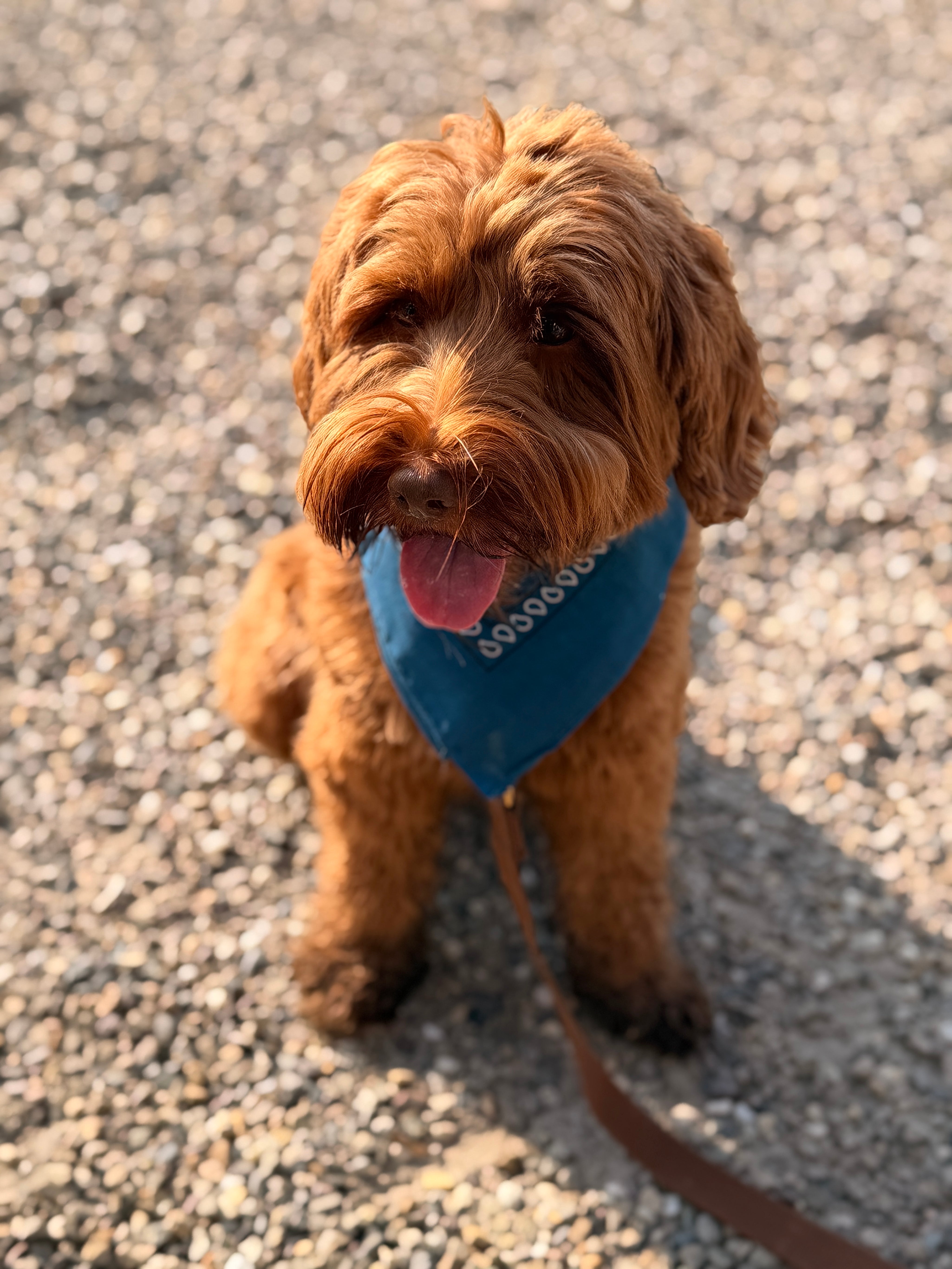 Indigo Bandana mit Namen
