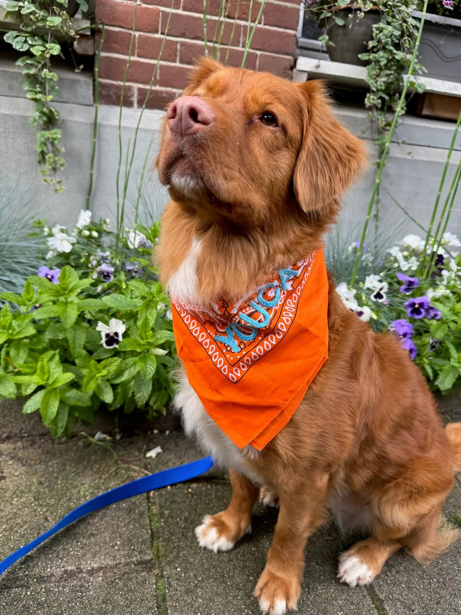 Orange Bandana met naam Charliejoness